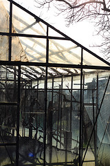 Greenhouse made of glass